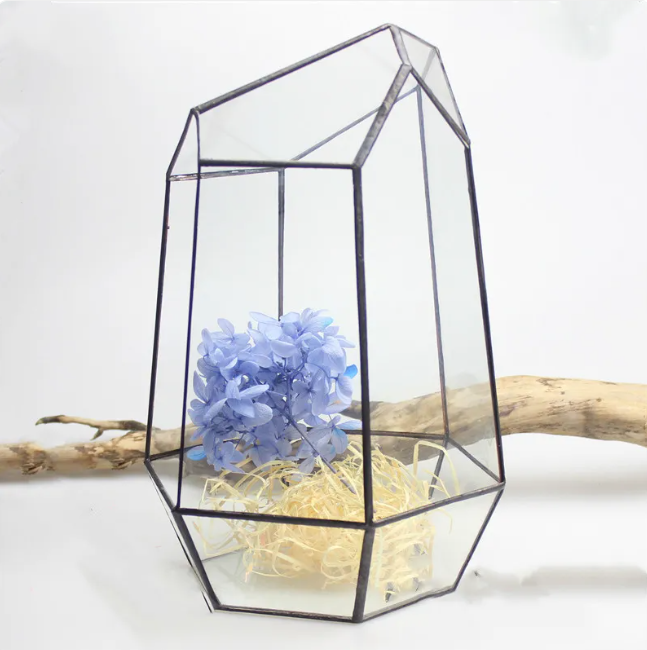 Glass Eco Plant Bottle