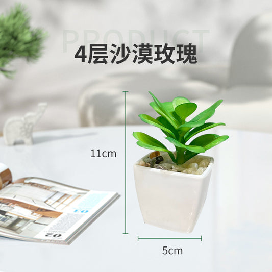 Miniature Faux Succulent Cactus Indoor Plant Pot