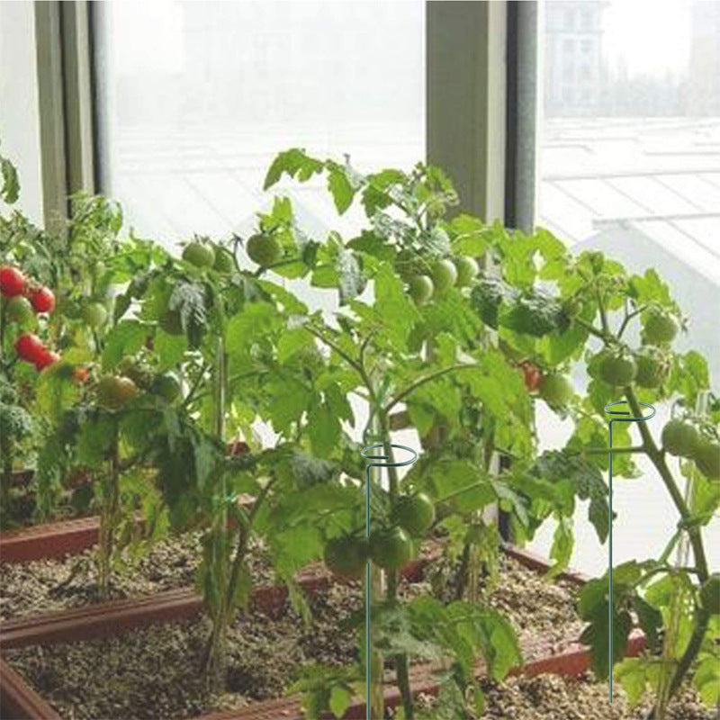 Single Stem Plant Support Stake for Garden (1 Piece)