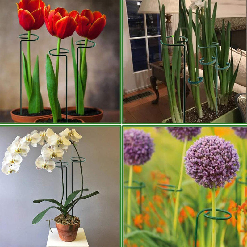 Single Stem Plant Support Stake for Garden (1 Piece)