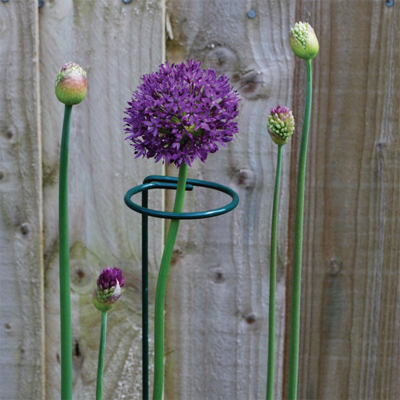 Single Stem Plant Support Stake for Garden (1 Piece)