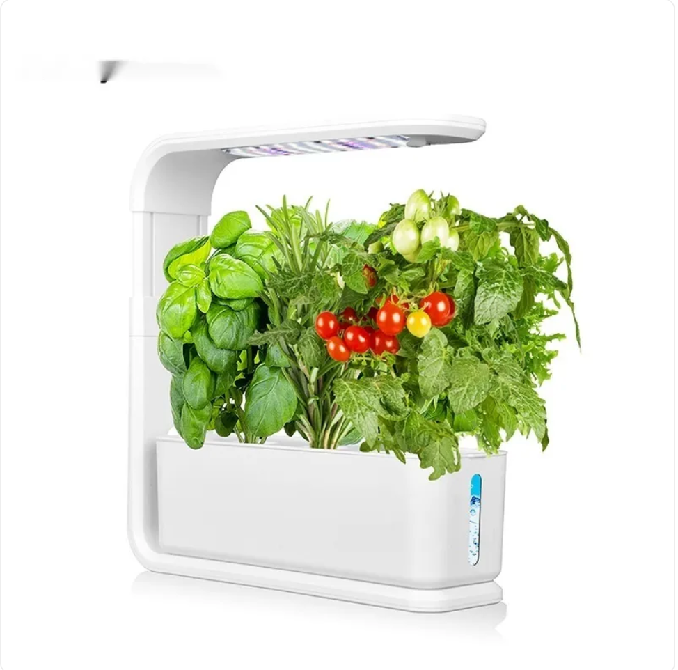 Plant Growth Lamp