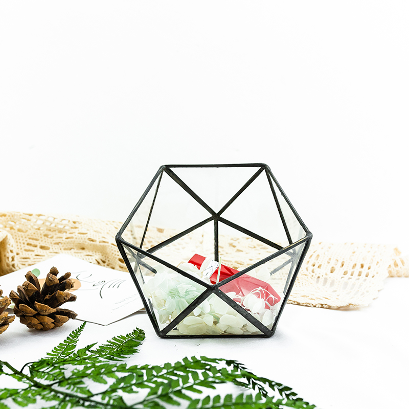 Modern geometric glass flower room creative micro landscape plant bottle