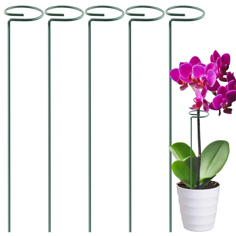 Single Stem Plant Support Stake for Garden (1 Piece)