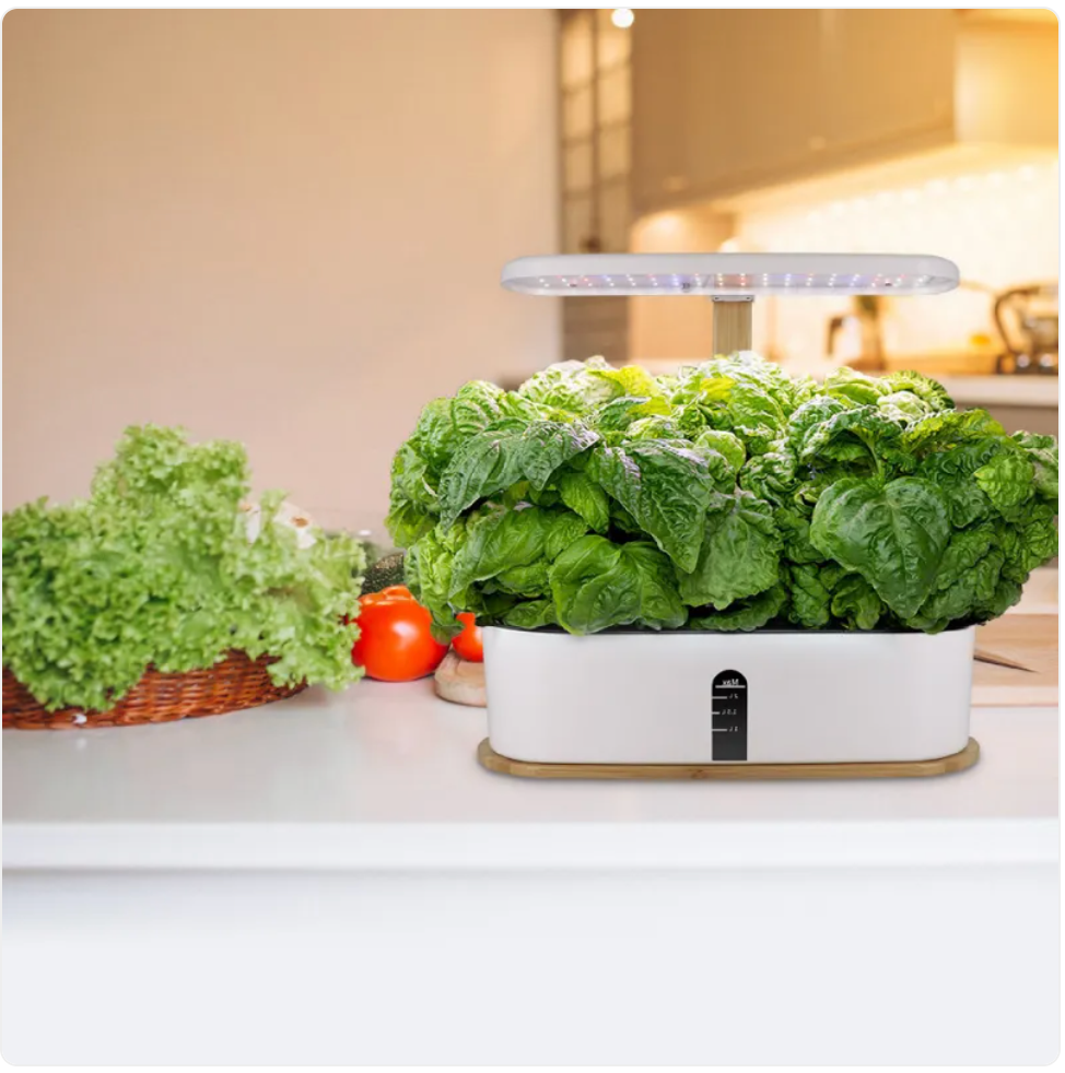 Hydroponic Plant Growing System