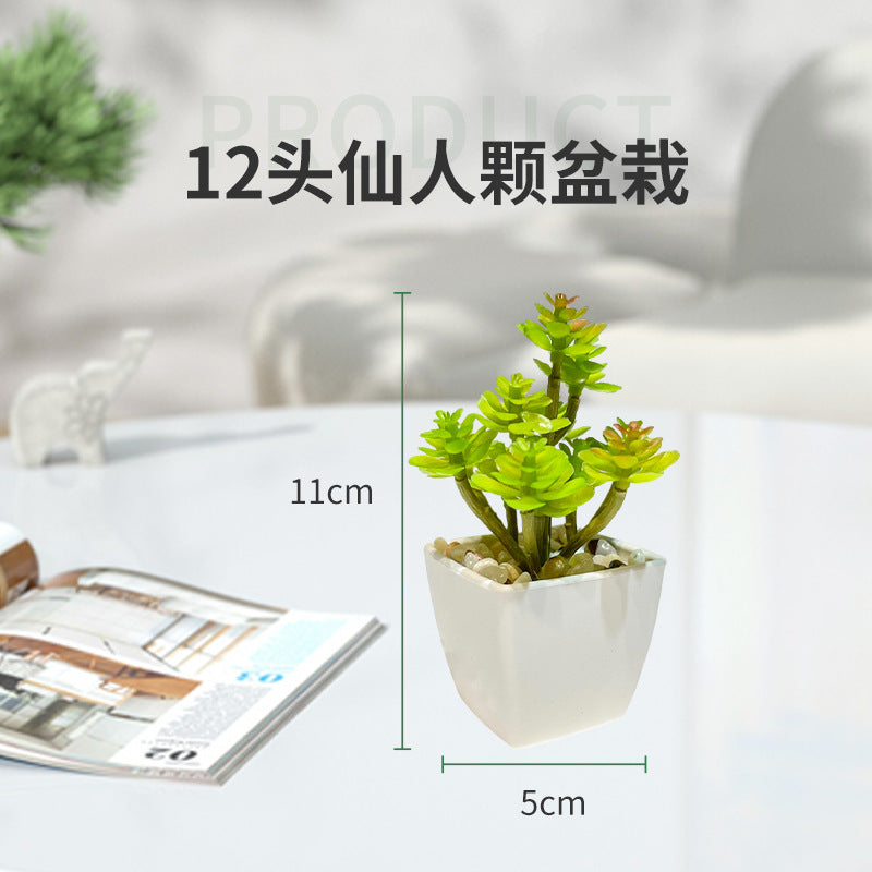 Miniature Faux Succulent Cactus Indoor Plant Pot