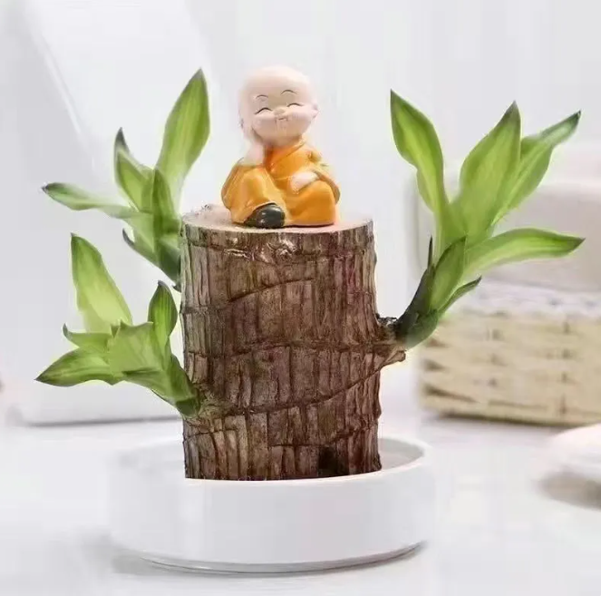 Plant Holder
