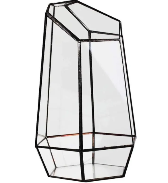 Glass Eco Plant Bottle