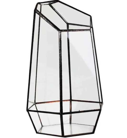 Glass Eco Plant Bottle