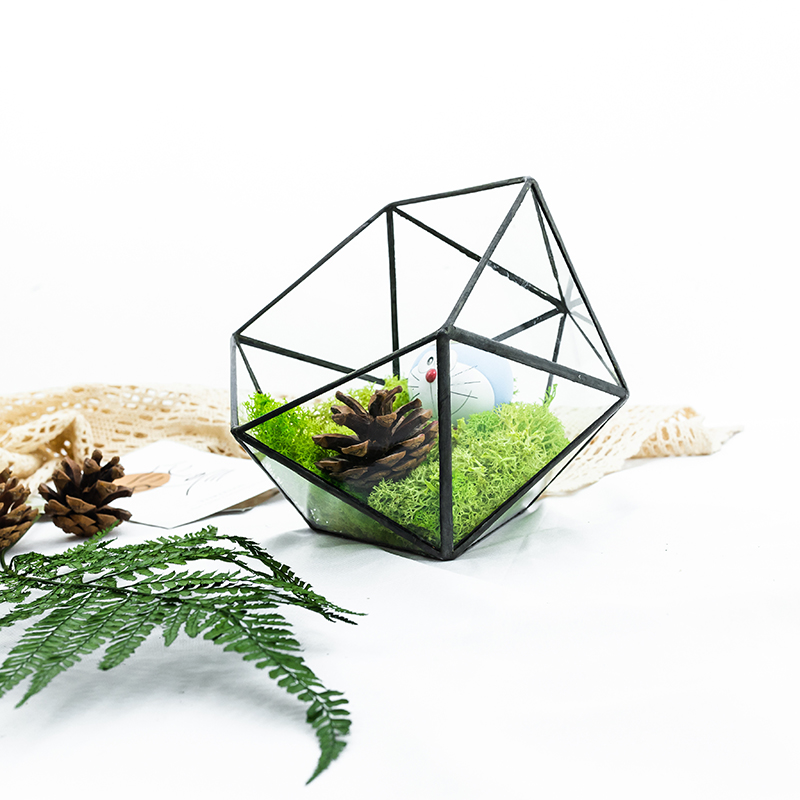 Modern geometric glass flower room creative micro landscape plant bottle