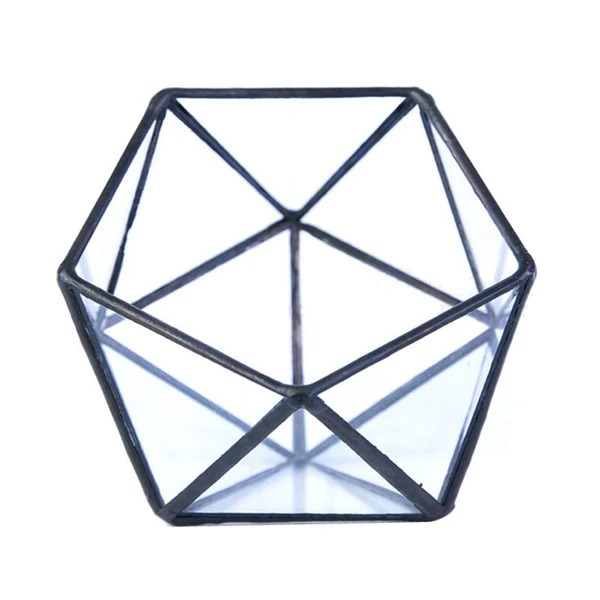 Modern geometric glass flower room creative micro landscape plant bottle