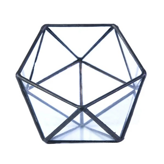 Modern geometric glass flower room creative micro landscape plant bottle