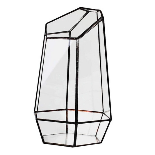 Plant eco bottle