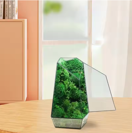 Glass Eco Plant Bottle