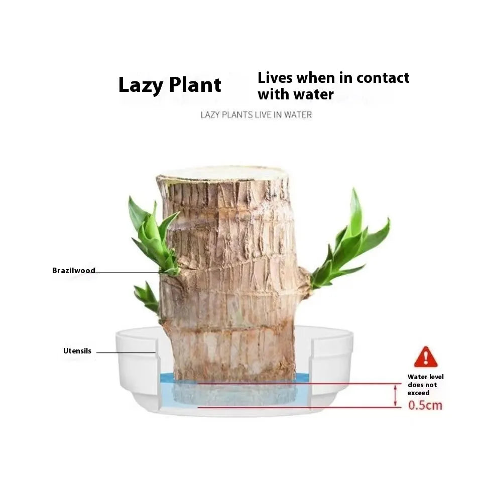 Desktop Liren Green Plant Pot